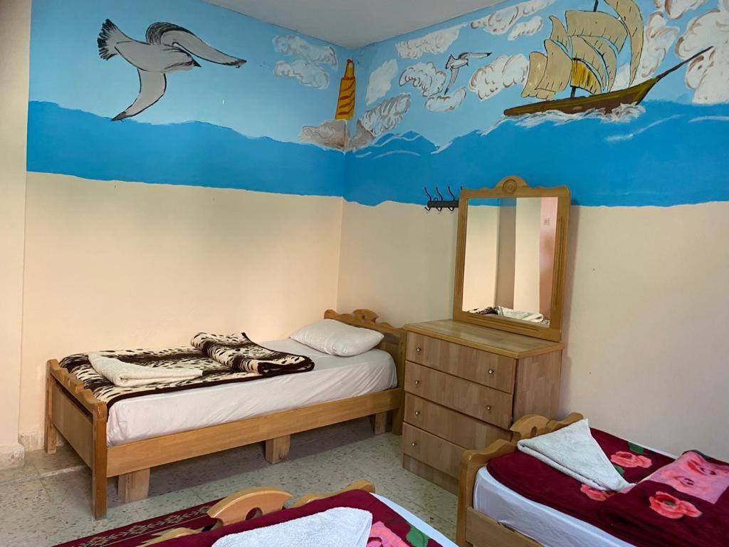 Dana Moon Hostel 객실 사진